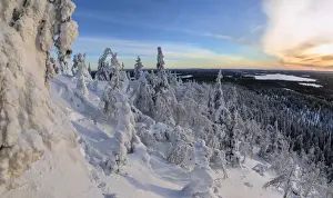 Winter Scene Prints: Panorama of snowy landscape and woods framed by blue sky and sun, Ruka, Kuusamo