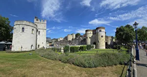Local Flora Prints: Panorama of the Tower of London