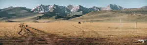 Grasslands Prints: Panorama of the vast grasslands