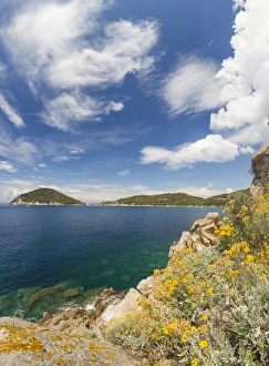 Livorno Province Prints: Panoramic of blue sea, Gulf of Procchio, Marciana, Elba Island, Livorno Province