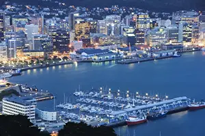 Wellington Prints: Panoramic city centre view at night overlooking Oriental
