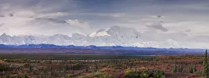 Picture Prints: Panoramic landscape of the Denali Mountain (Mount McKinley), Denali National Park