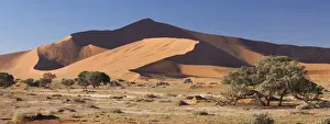 Sossusvlei Prints: Panoramic view of the Ancient orange sand dunes of the Namib Desert at Sossusvlei