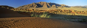 Waste Land Prints: Panoramic view over dunes and mountains