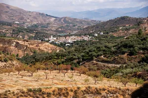 Granada Prints: Panoramic view over olive groves and village in Sierra Nevada region of Granada