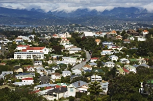 Wellington Prints: Panoramic view of suburban houses