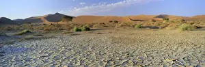 Waste Land Prints: Panoramic view of sun-baked pan of cracked mud near Sossusvlei