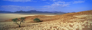 Waste Land Prints: Panoramic view of trees and mountains in desert landscape