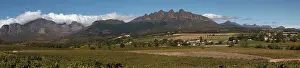 Digital Prints: Panoramic view of vineyards and mountains near Wellington