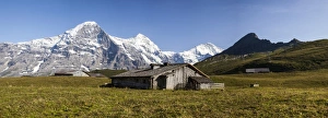 Grindelwald Prints: Panoramic view of wood hut with Mount Eiger in the background