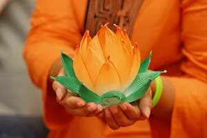 Images Dated 24th July 2008: Paper lotus flowers, Seoul, South Korea, Asia