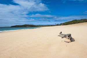 Molokai Prints: Papohaku Beach, island of Molokai, Hawaii, United States of America, Pacific