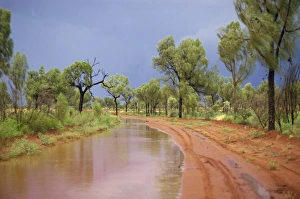 Outback Prints: Around Papunya after rain, Northern Territory, Australia, Pacific