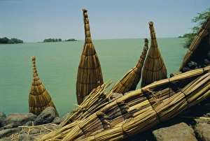 Gondar Prints: Papyrus boats propped up beside Lake Tana, Gondar Ethiopia, Africa