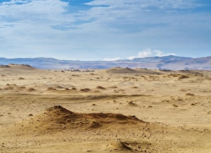 Peruvian Culture Prints: Paracas National Reserve, Ica Region, Peru, South America