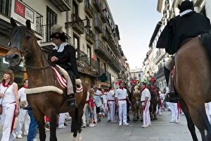 Images Dated 9th July 2010: Parade of bullfight horsemen and mules, San Fermin festival, Pamplona, Navarra (Navarre)