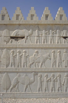 Persepolis Prints: Parade of nations carving