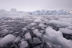 Paradise Bay, Antarctic Peninsula, Antarctica, Polar Regions