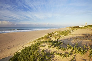 Sand Beach Prints: Paradise beach, Jeffreys Bay, Eastern Cape, South Africa, Africa