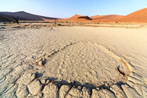Parched ground and dead Acacia surrounded by sandy dunes, Deadvlei, Sossusvlei, Namib Desert Parched ground and dead Acacia surrounded by sandy dunes, Deadvlei, Sossusvlei, Namib Desert
