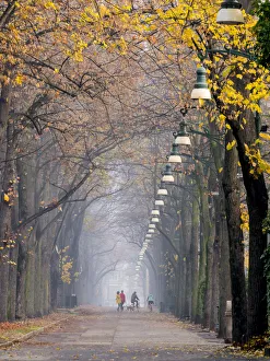 City Park Prints: Parco del Valentino, Turin, Piedmont, Italy, Europe