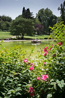 City Park Prints: Park Borghese, Rome, Lazio, Italy, Europe