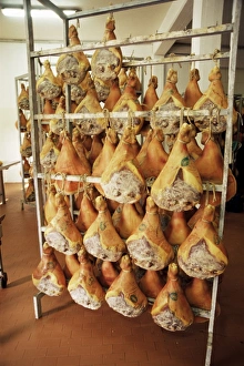 Hanging Prints: Parma hams on curing racks