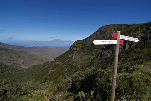 Parque Nacional de Garajonay, UNESCO World Heritage Site, Gomera, Canary Islands