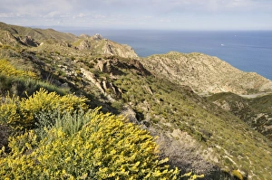 Images Dated 12th April 2009: Parque Natural de Gata-Nijar, Costa del Sol, Andalucia, Spain, Europe