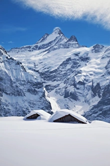 Images Dated 13th March 2009: Partially buried buildings on the ski slopes in front of the Schreckhorn mountain