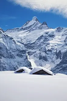 Grindelwald Prints: Partially buried buildings on the ski slopes in front of the Schreckhorn mountain