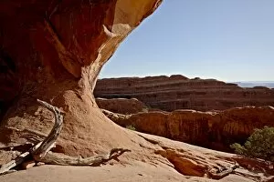 Images Dated 21st May 2010: Partition Arch, Arches National Park, Utah, United States of America, North America