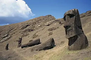 Quarries Prints: A partly finished moai statue in the quarry inside the crater at Rano Raraku on Easter Island