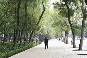 Paseo de la Reforma, Reforma, Mexico City, Mexico, North America