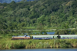 Panama Prints: Passenger train on the railway beside the Panama Canal