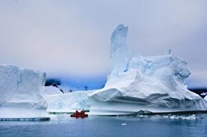 Images Dated 28th January 2005: Passengers exploring icebergs near Pl?neau Island, Antarctica, Polar Regions