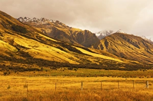 Awesome Prints: Pasture and Ben Ohau Range
