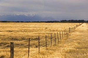 Unadorned Prints: Pasture, Burke Pass