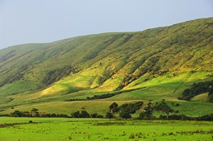 Southland Prints: Pasture and hills