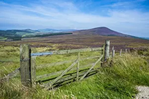 Isle Of Man Prints: Pasture in the interior of the Isle of Man, crown dependency of the United Kingdom