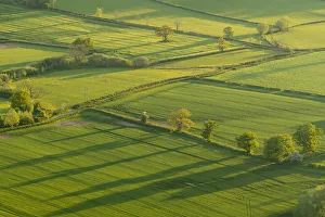 Traditionally Welsh Prints: Patchwork fields in the Brecon Beacons National Park, Powys, Wales, United Kingdom