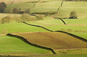 Patchwork of fields, lower slopes of Pennines, Eden Valley, Cumbria, England