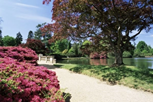 Path on bank of Ten Foot Pond, Sheffield Park Garden, East Sussex, England