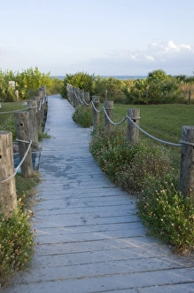 Sanibel Island Prints: Path to beach, Sanibel Island, Gulf Coast, Florida, United States of America