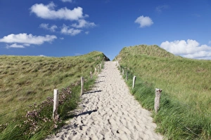 Schleswig Holstein Prints: Path through dunes, Sylt Islands