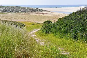 Dunes Prints: Path leading through grass to dunes and beach at Melides in Alentejo region of Portugal