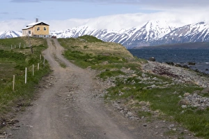 Dirt Road Prints: Path leading to house, Eyjafjordur, Iceland, Polar Regions