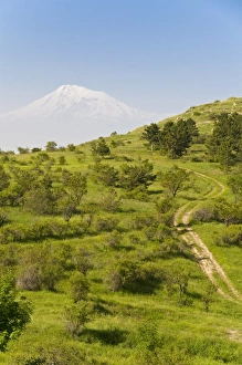 Trail Prints: Path leading to Mount Ararat, Armenia, Caucasus, Central Asia, Asia
