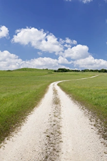 Swabian Alb Prints: Path through a meadow with cumulus clouds, Swabian Alb, Baden Wurttemberg, Germany, Europe