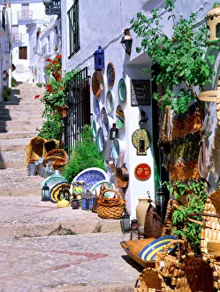 Potted Plant Prints: Pathway in village, Frigiliana, Andalusia, Costa del Sol, Spain, Mediterranean, Europe